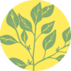 Citrus