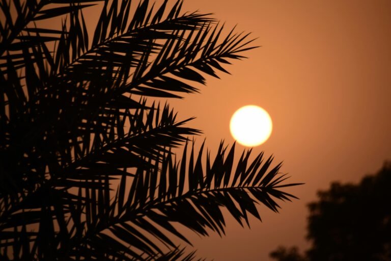 Luxury perfumes nigeria